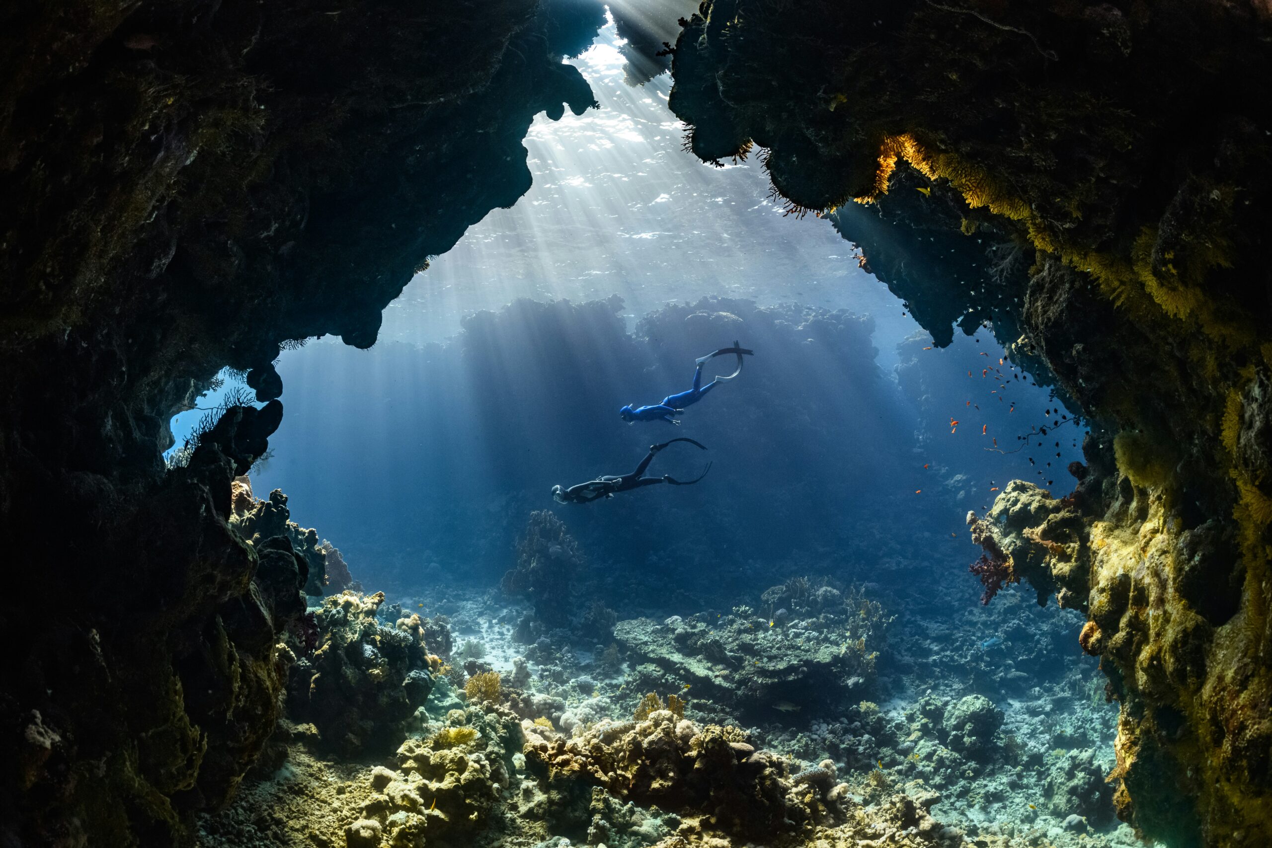 Reservas online de inmersiones de buceo