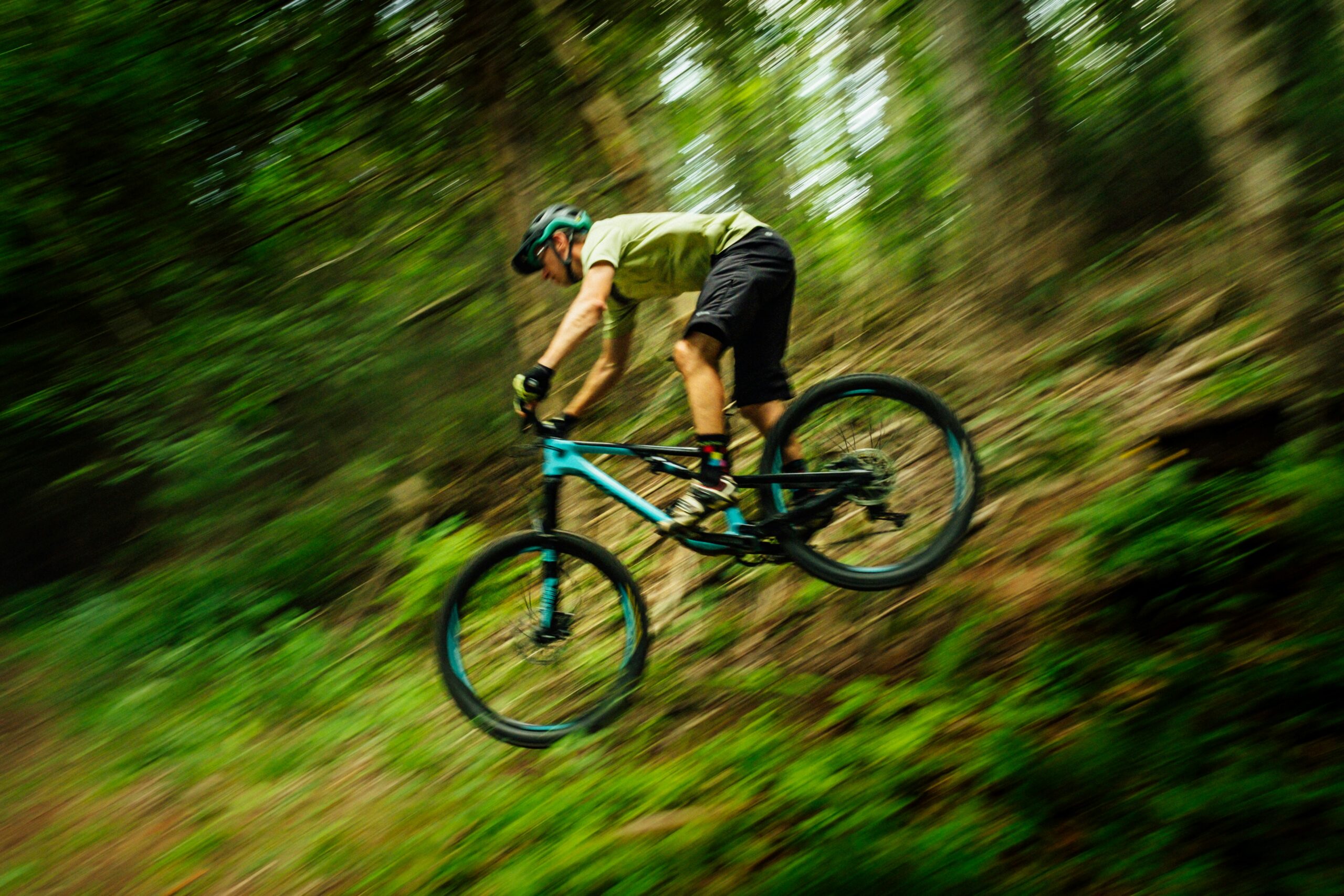 Alquiler de bicicletas