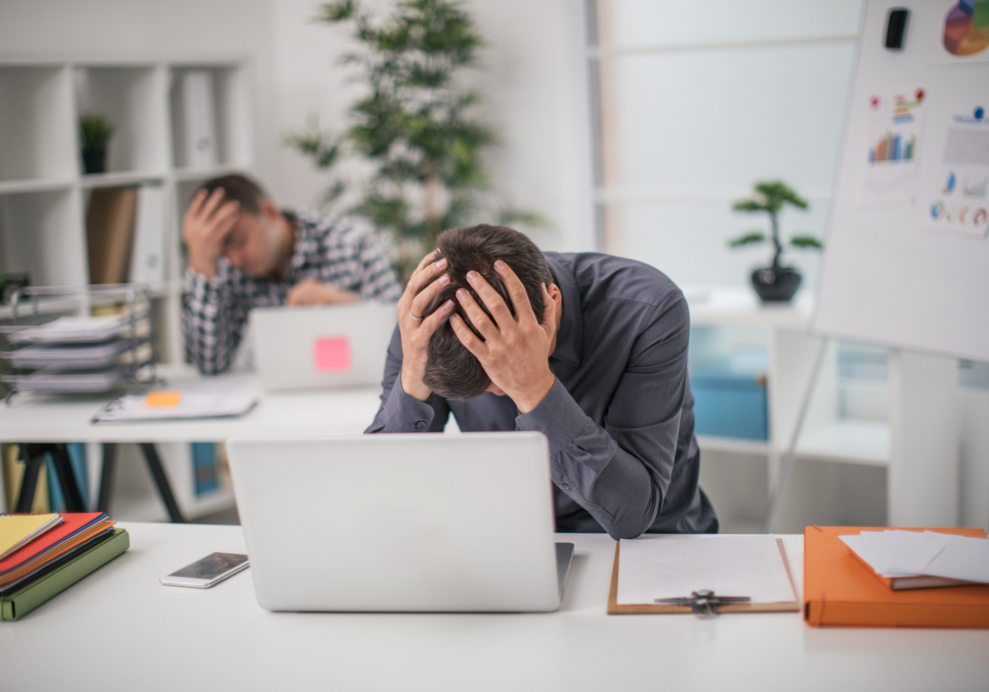 Problemas de gestión en empresa de turismo activo